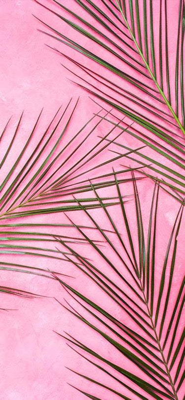 Diva Allure Boutique