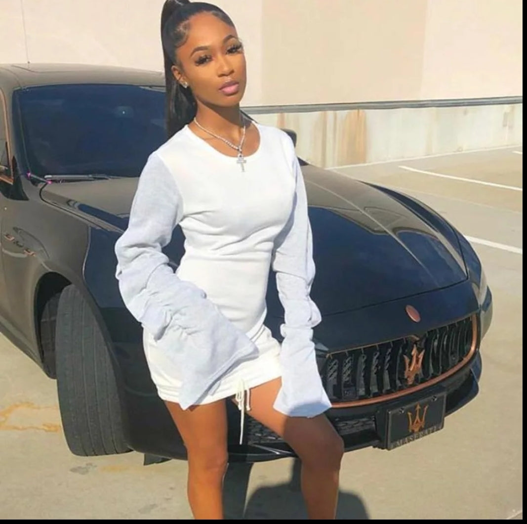 Ruffled Sleeve Sweater Dress